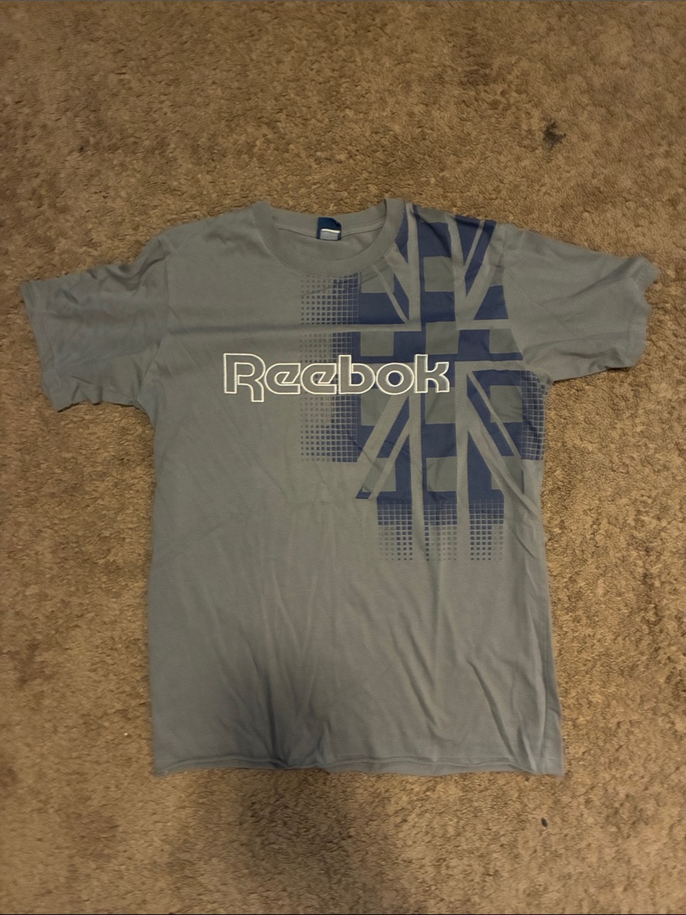 Reebok y2k Men's Light Gray Tee with Navy Graphic